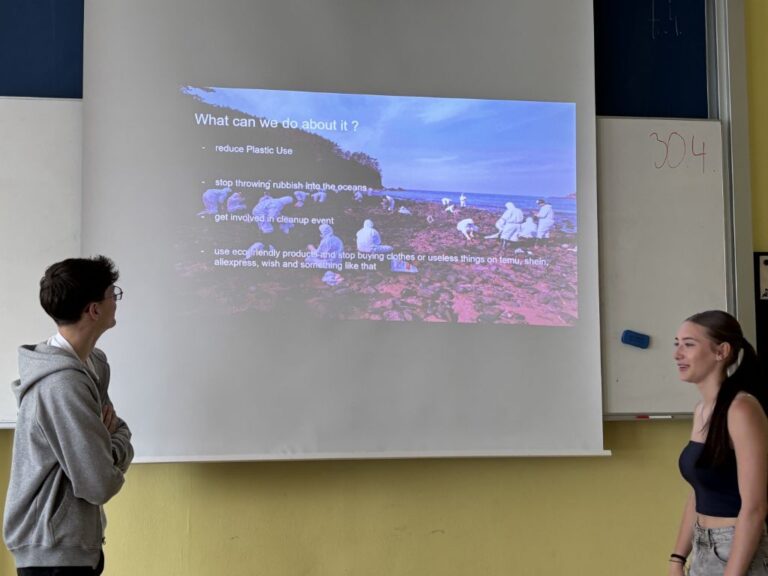 Projektová činnost