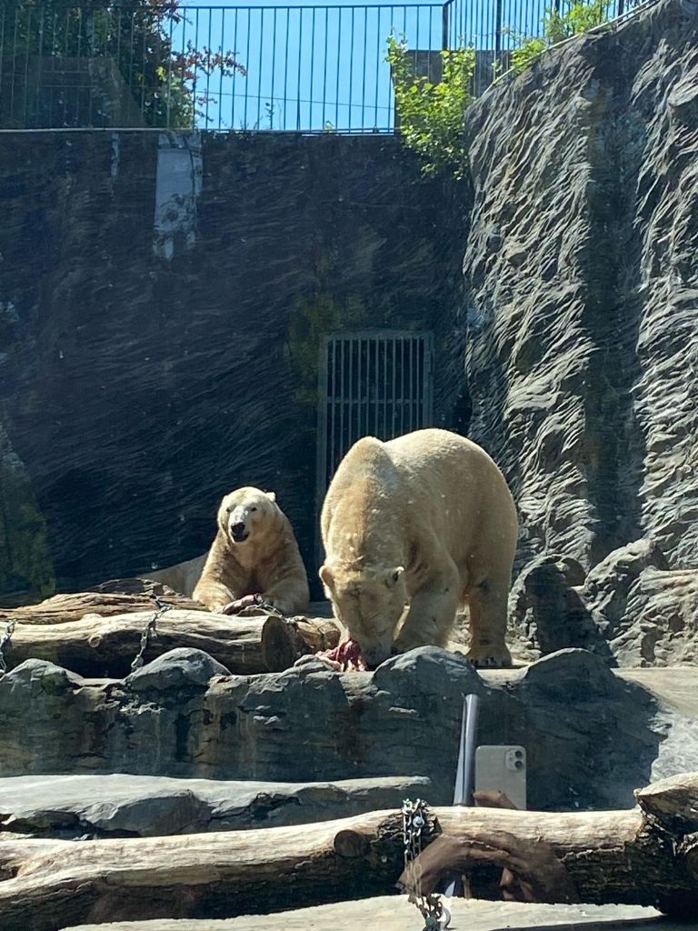 ZOO v Praze